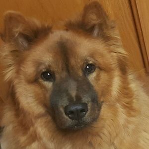 Meet your Posher, Marcy